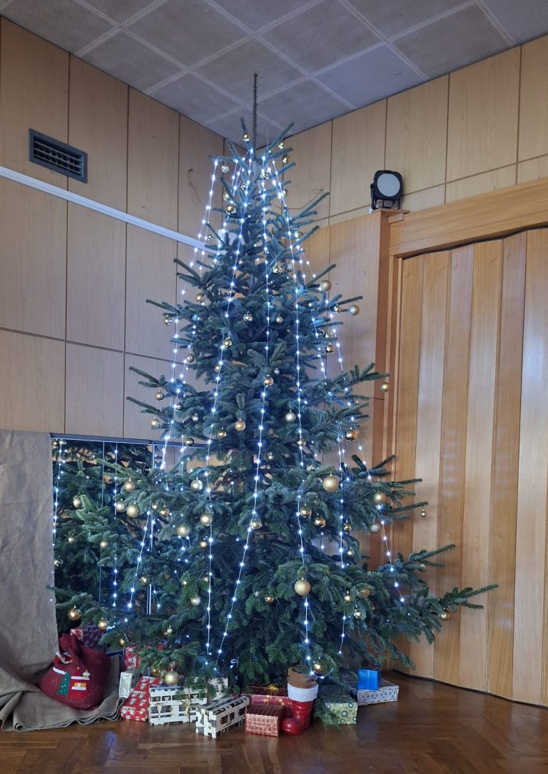 Es weihnachtet im TSC Leipzig